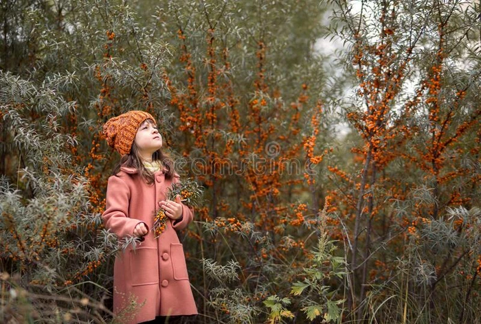 暖和的水平的秋照片.学龄前儿童女孩采用一or一ge帽子